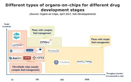 不同类型的器官芯片技术在不同的药物研发阶段所发挥的功能