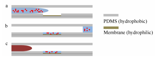 芯片灌流示意图
