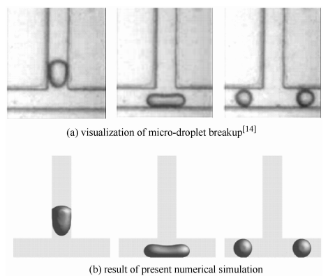 图2模型有效性验证