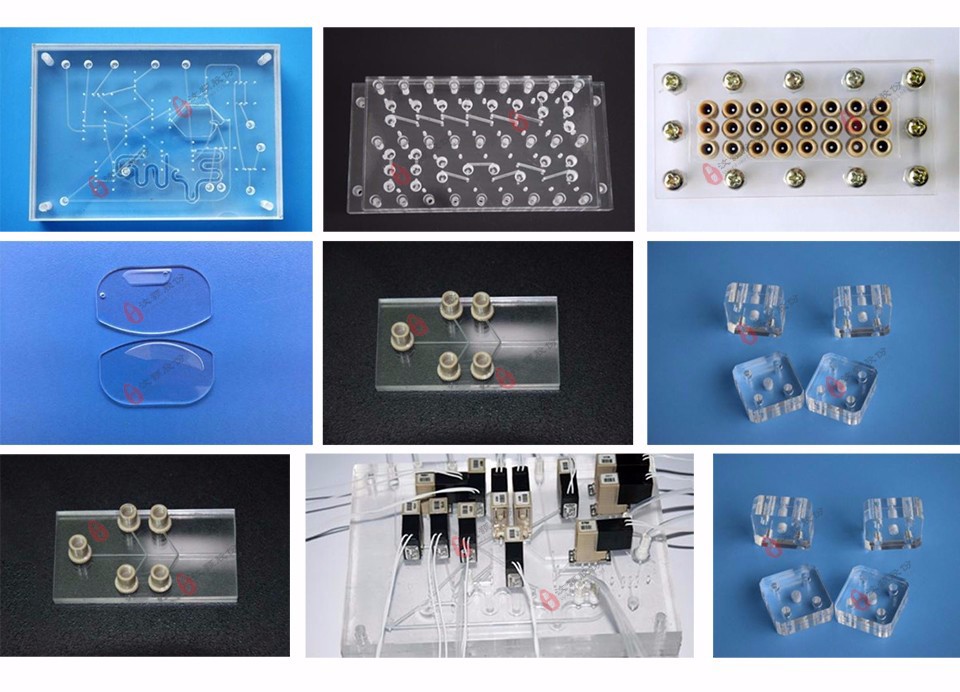Six, microfluidic chip samples