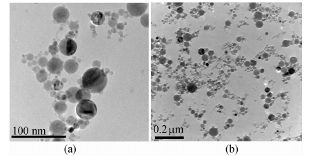 Ａｌ２Ｏ３纳米流体电镜照片