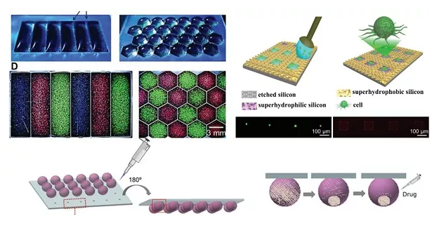 液滴微阵列在细胞方面的应用