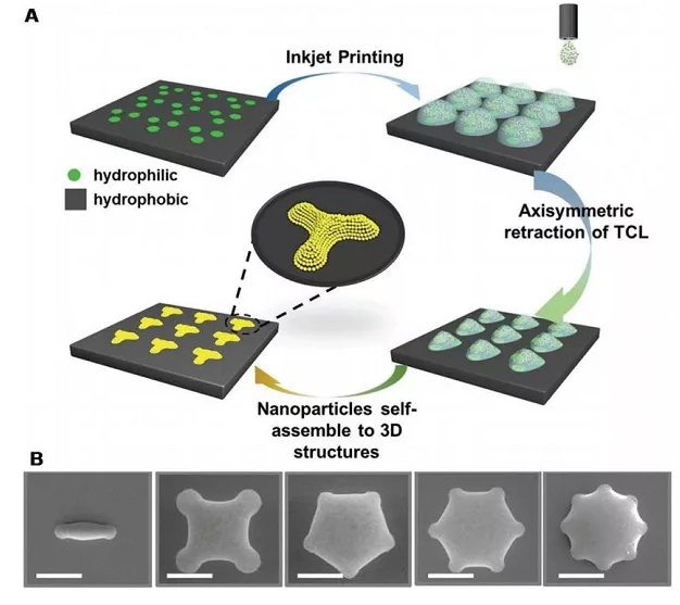亲疏水图案化基底用于纳米粒子自组装