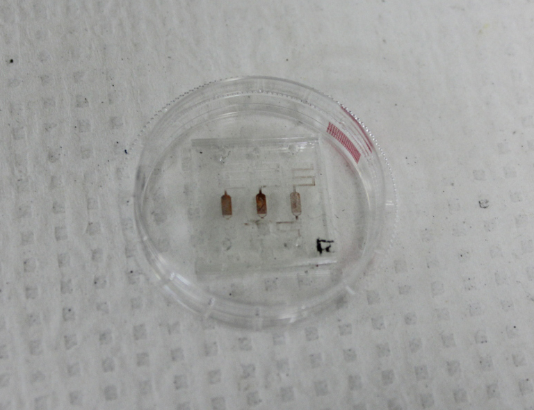 1534466875869457.png 图片1.png