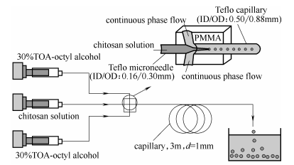 同轴环管型微流控装置