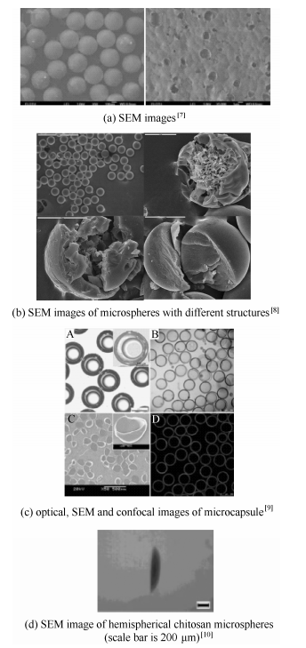 壳聚糖微球/微胶囊的形貌