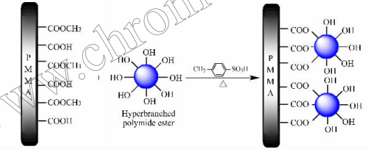 图1PMMA微流控芯片的改性过程