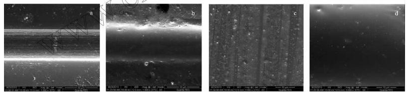 PMMA微流控芯片的SEM图片