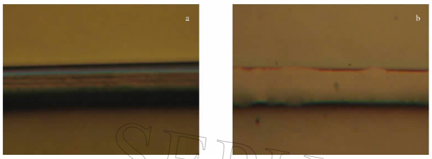 PMMA微流控芯片的体视显微镜图