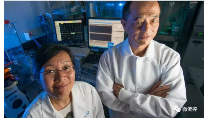 理海大学（Lehigh University）材料科学与工程系助教Xuanhong Cheng（图左），以及电气工程与计算机系的教授James Hwang（图右）