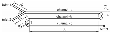 图1蛇形微通道