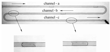 图6方案1：弹状流