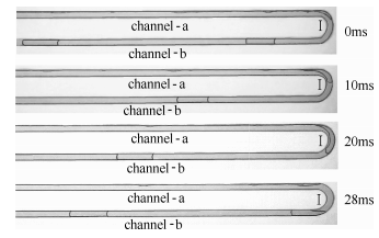 图11方案1：圆弧诱导产生的弹状流