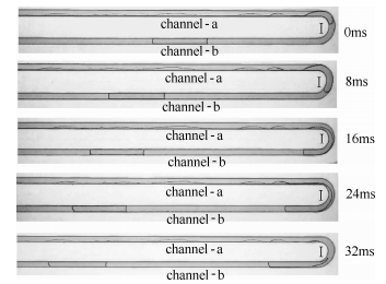 图12方案2：圆弧诱导产生的弹状流