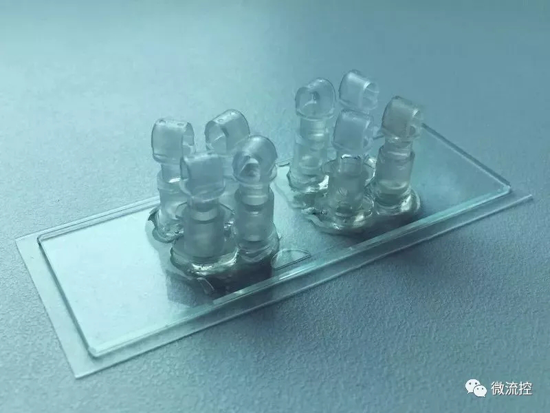 研究和分析胎盘用的器官芯片