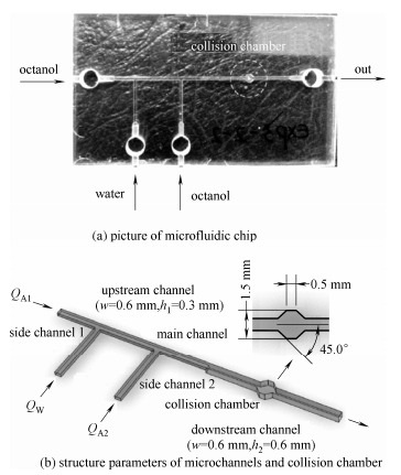 图1微流控芯片与结构参数