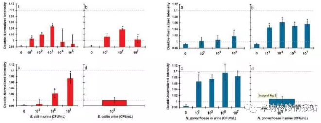 图2. 大肠杆菌（左）和淋球菌（右）的特异性及灵敏性检测