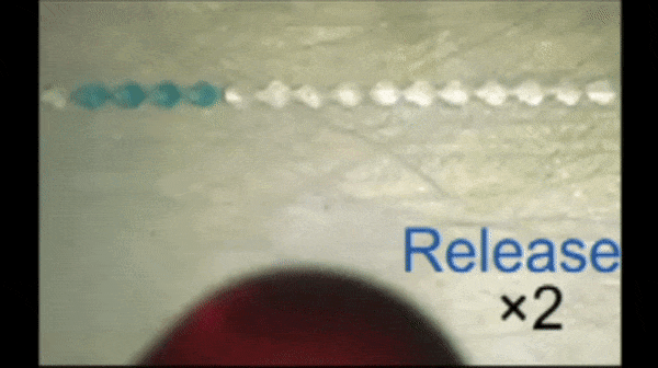 观察液滴位置和负压施加时间的关系