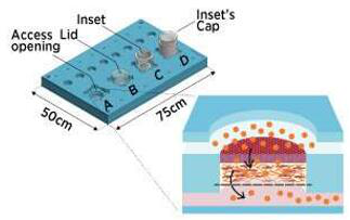 作为开放系统的微流控皮肤芯片