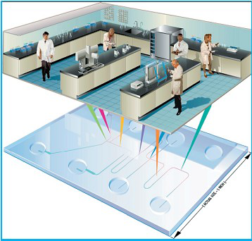 传统实验室转换为微流控芯片实验室 示意图 传统实验室转换为微流控芯片实验室 示意图