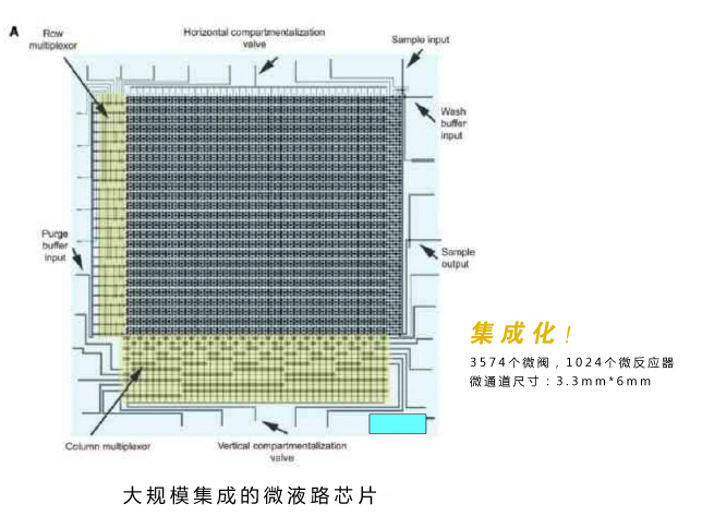 微流控芯片实验室技术优势：大规模集成的微液路芯片