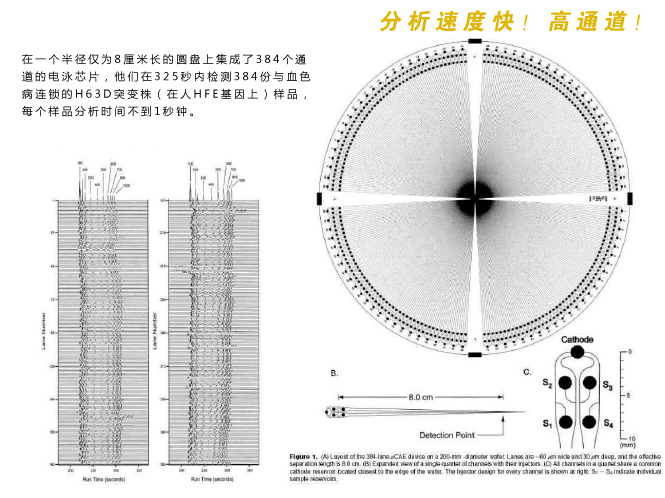 微流控芯片实验室分析检测速度快，具有高通道等特性。