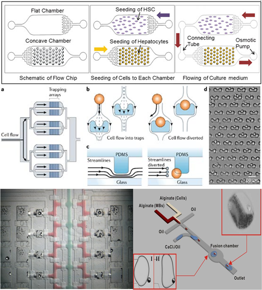 生物芯片 - 细胞分析芯片