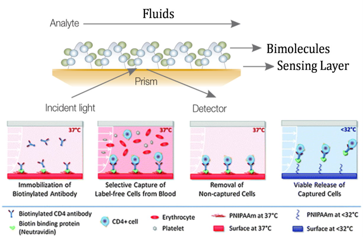 生物芯片 - 生物分子间相互作用 生物芯片 - 生物分子间相互作用