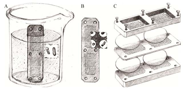 图3分离芯片原位培养微生物的示意图