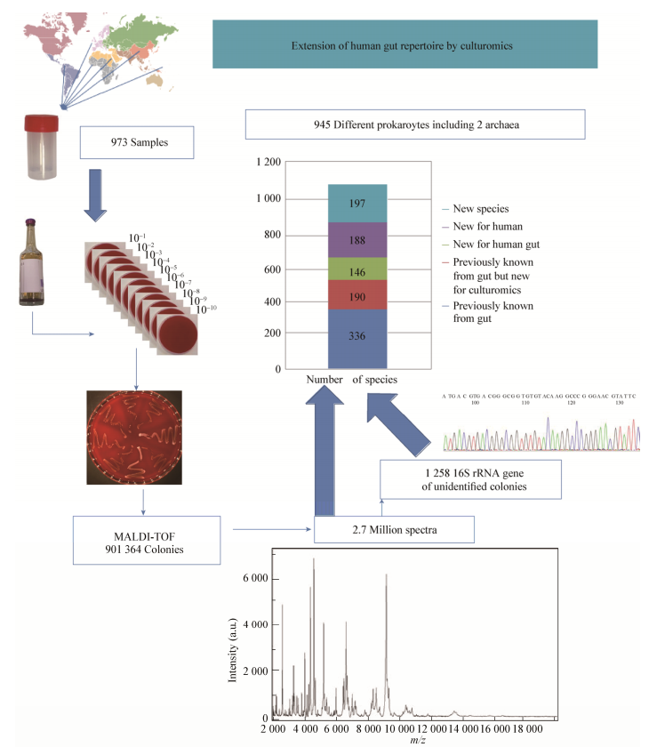图6培养组学工作的原理图
