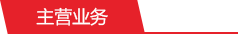 主营业务