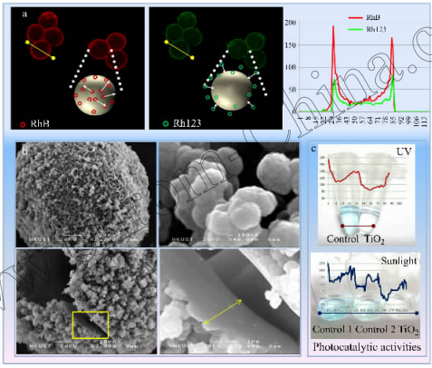 图!二氧化钛微球的形态和功能表征