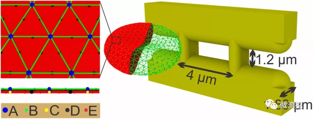 微流体系统帮助预测血管易堵塞程度