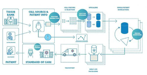 标示了纳电子学潜在影响（以蓝色圆圈标示）的CAR-T细胞疗法