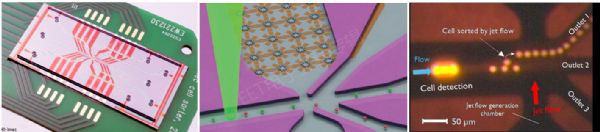 芯片上的微流体通道内进行细胞分选的图片