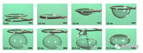 收缩成一个闭合的气泡