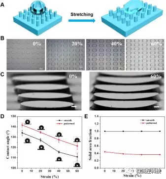 图1. （A-C）形状记忆微柱阵列结构在拉伸至20%，40%及60%后的形貌连续可控变化，及在外力撤销后形变维持；（D，E）形状记忆微柱阵列可控拉伸形变后表面浸润特性改变及微结构形貌改变