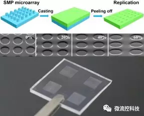 图2. 采用不同拉伸程度的形状记忆微柱阵列复制出来的系列连续形变的PDMS微阵列