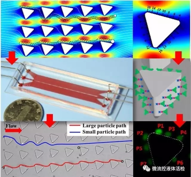 基于微流控芯片技术的肿瘤液体活检新方法