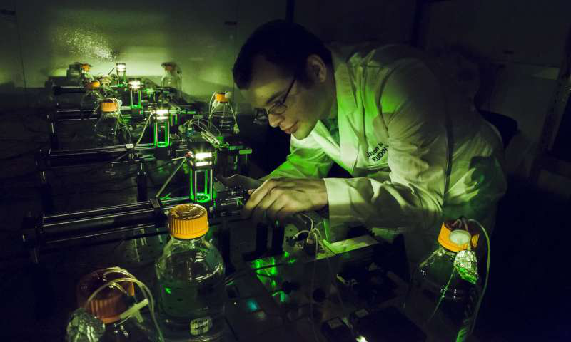 物理学研究生Jason Merritt在伊利诺伊州厄巴纳的Loomis物理实验室Kuehn实验室研究他的自动化细菌种群取样装置。来自伊利诺伊大学厄巴纳 - 香槟分校的L. Brian Stauffer