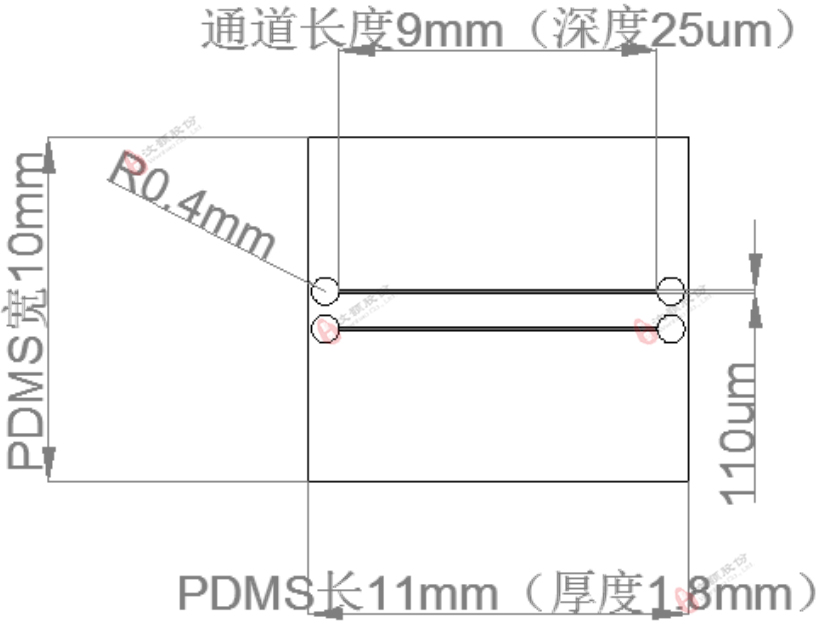 芯片通道结构示意图