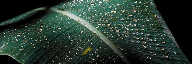 微流体环境培育干细胞走向商业化之旅