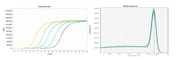 检测反应体系中荧光的实时变化