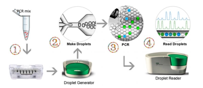 油包水“小房间”