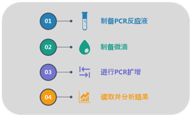 QX200 ddPCR的简易操作流程