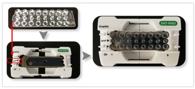 将8孔微滴生成板打开包装，安装到支架上，注意微滴生成板的方向与支架上标记方向一致