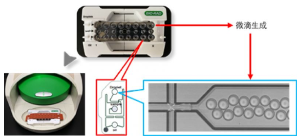 微滴生产