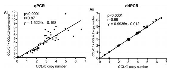 连续拷贝数（例如5拷贝和6拷贝）的区分