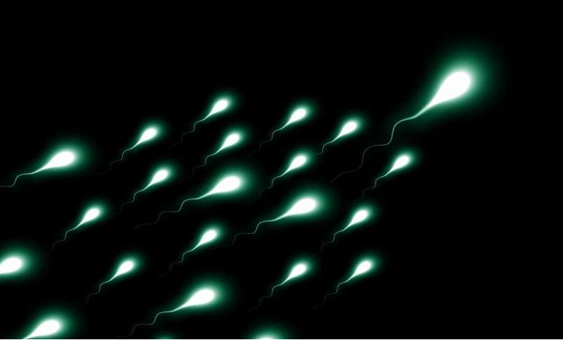 图片来源：CC0 Public Domain