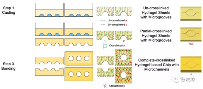 基于二次交联的凝胶基微流控芯片制造工艺及原理